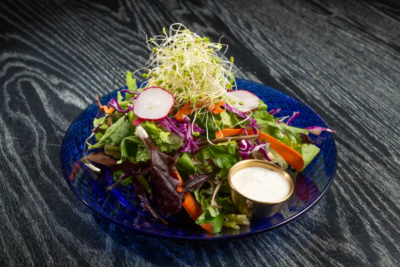 Crunchy sprout salad with radish and dill dressing